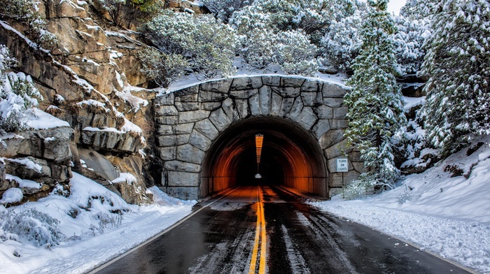 road, trees, snow, tunnel, winter