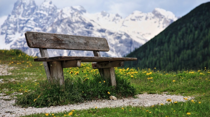 bench, forest, landscape, trees, mountain