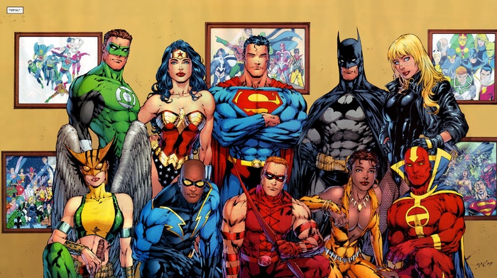 Vixen, Wonder Woman, Black Lightning, Superman, Green Lantern, black canary, superhero, Red Tornado, Red Arrow, Batman, DC Comics, Hawkgirl