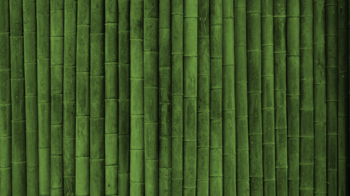 bamboo, minimalism