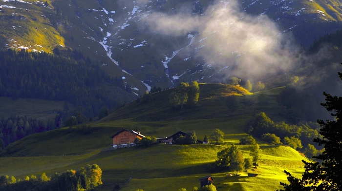 mountain, landscape, nature, Austria, trees, cabin