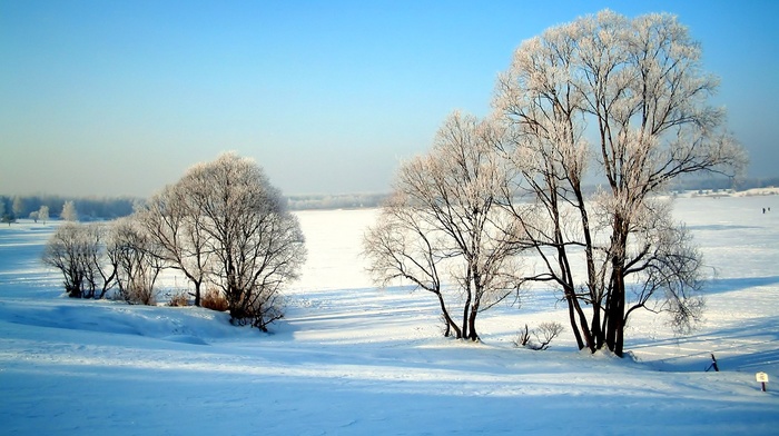 winter, snow