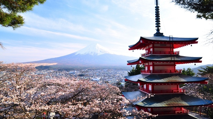 Mount Fuji, Japan, Asian architecture, cherry blossom