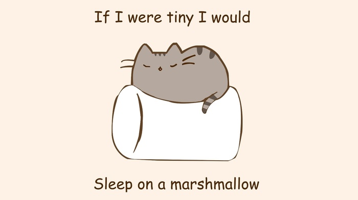 humor, marshmallows, cat