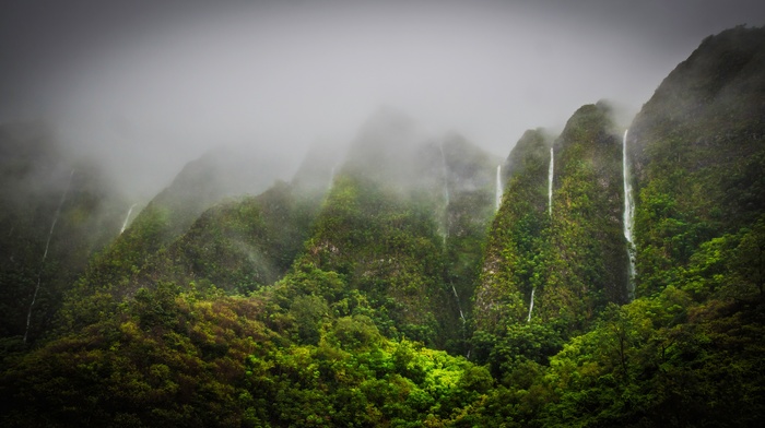 forest, nature, mist, landscape, mountain, waterfall