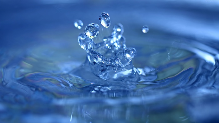 water drops, macro, nature, water