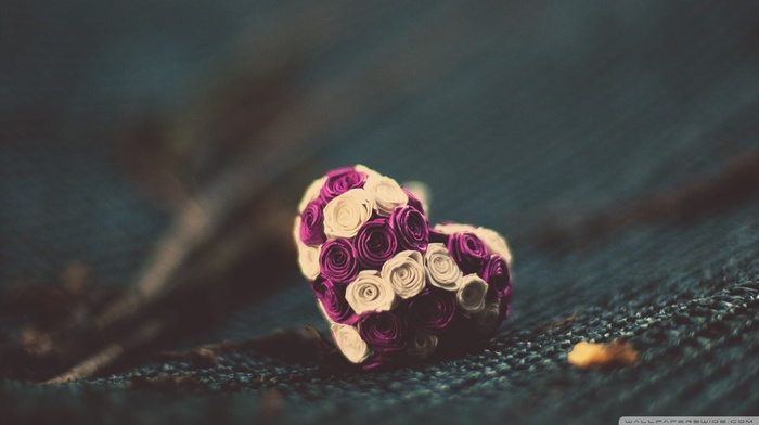 hearts, flowers