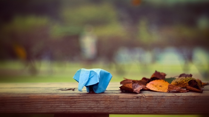leaves, elephants, depth of field, table, fall, wood, origami, park, trees, animals