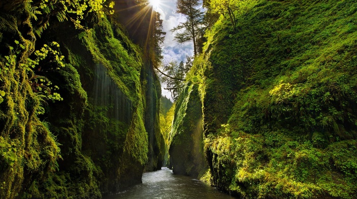nature, Sun, trees, clouds, river, sun rays, landscape, leaves, waterfall, canyon, valley, USA, sunlight, Oregon