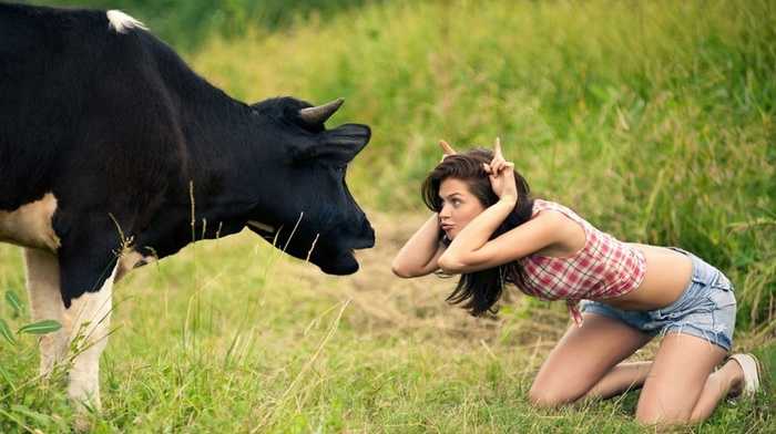 horns, model, plaid, grass, kneeling, brunette, shirt, nature, humor, girl outdoors, cows, field, animals, Yana Anchugova, girl, jean shorts