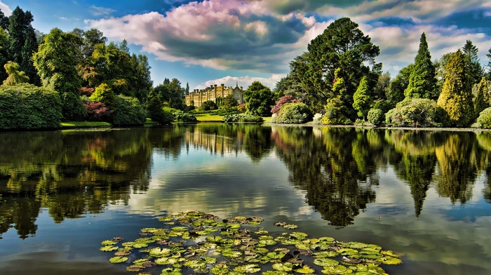 reflection, lake, castle, landscape, nature, clouds, trees, grass, forest