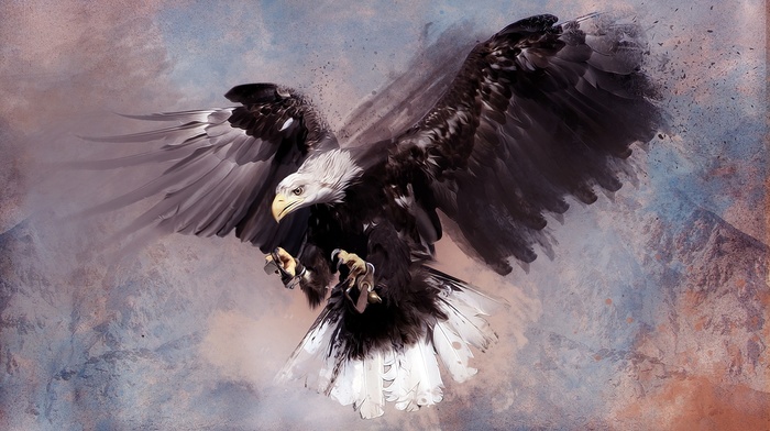 artwork, eagle