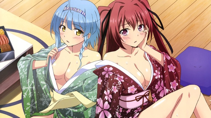 Shinmai Maou no Testament, Naruse Mio, Nonaka Yuki