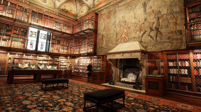 fireplace, books, Manhattan, library, carpets, painting, interiors