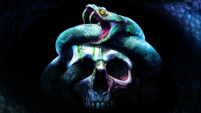 Neverwinter Nights, artwork, Neverwinter Nights 2 Storm of Zehir, skull