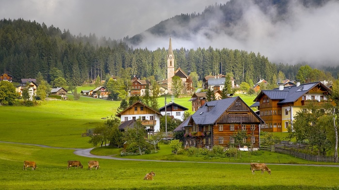villages, forest, building, nature, architecture, trees, road, town, Austria, cows, animals, church, wood, house, mist, grass