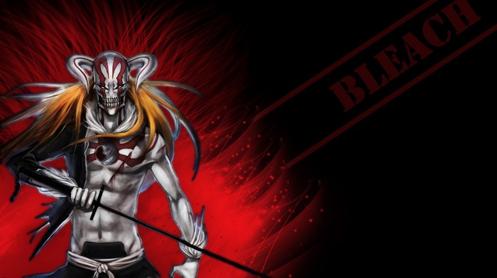 Vasto Lord, Bleach