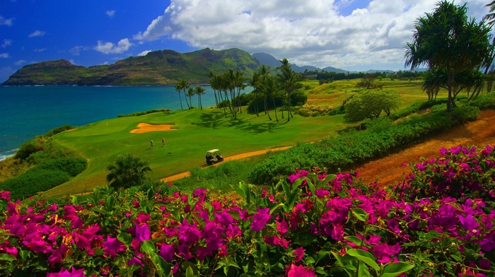 mountain, hill, golf course, landscape, trees, clouds, water, grass, sea, nature, flowers, Hawaii, palm trees, sand