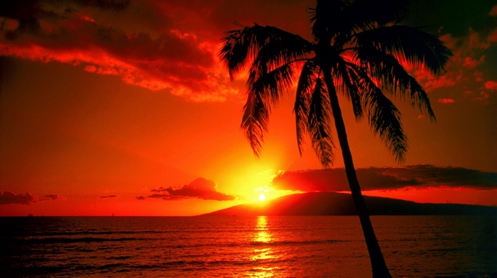 sunset, landscape