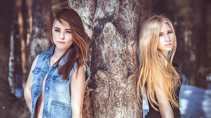 portrait, jeans, forest, long hair, blonde, brunette, trees, girl