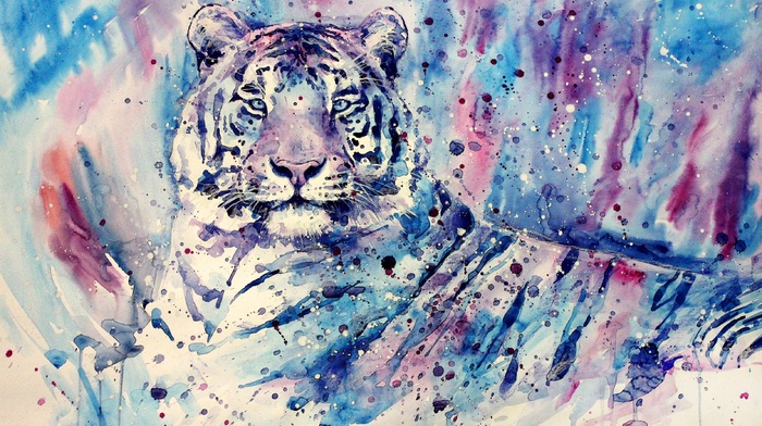 white tigers, purple, painting, blue, tiger, animals, artwork, watercolor