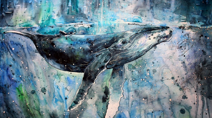 watercolor, whale, painting, artwork, paint splatter, animals