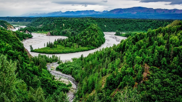 river, forest, nature, mountain, landscape, trees