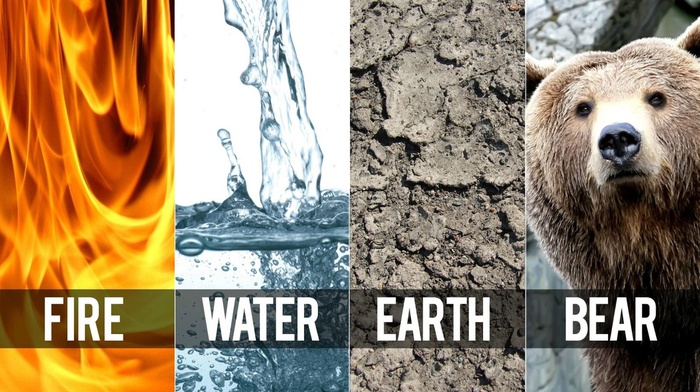 Earth, fire, water, bears, nature, humor