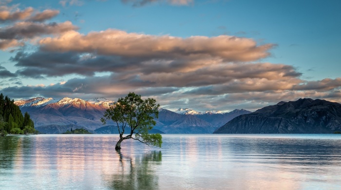 landscape, trees, clouds, mountain, New Zealand, lake, snow, horizon, nature, reflection, Lake Wanaka