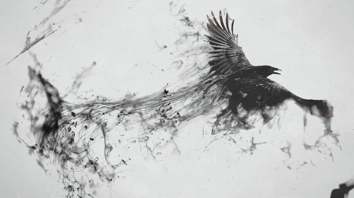 digital art, white background, crow, animals, monochrome, artwork, raven, paint splatter, minimalism