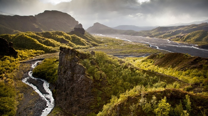 forest, Iceland, nature, river, hill, landscape
