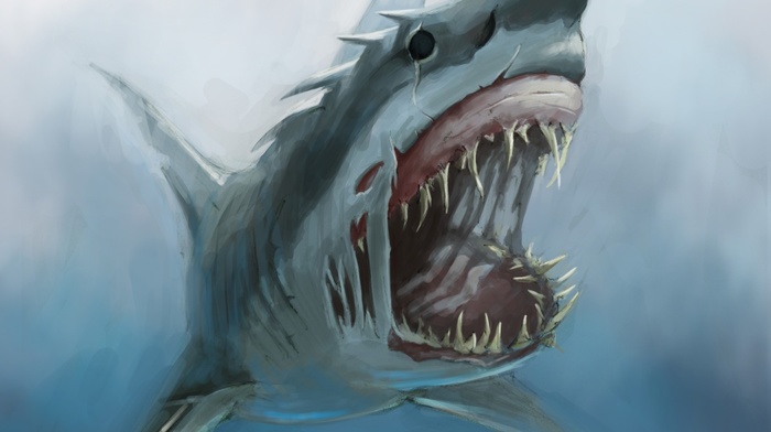 sea monsters, shark, drawing