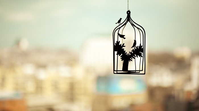 trees, silhouette, depth of field, photography, cityscape, birds, cages
