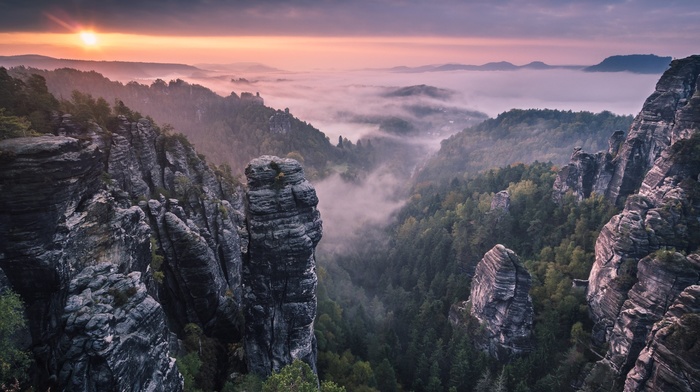 forest, landscape, nature, rock