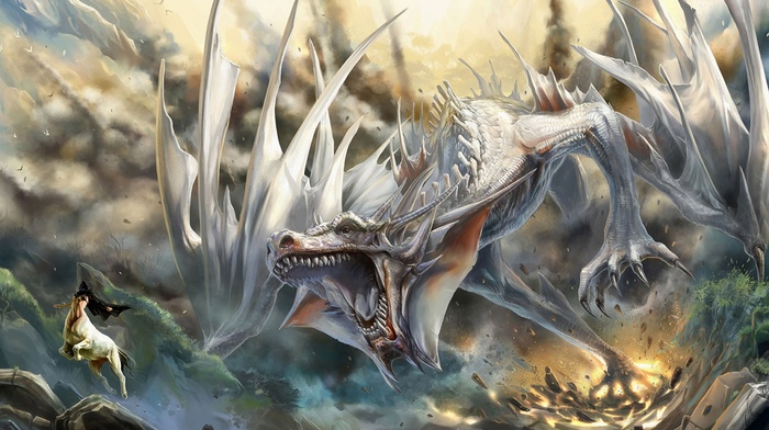 fantasy art, dragon