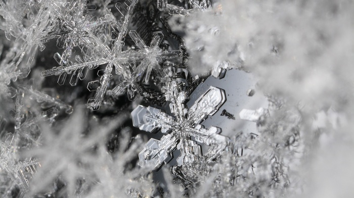 macro, ice