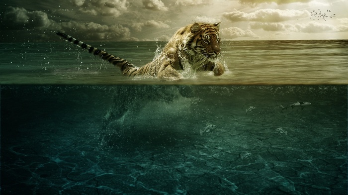 digital art, jumping, anime, split view, animals, cat, atmosphere, fish, water, big cats, tiger, sea