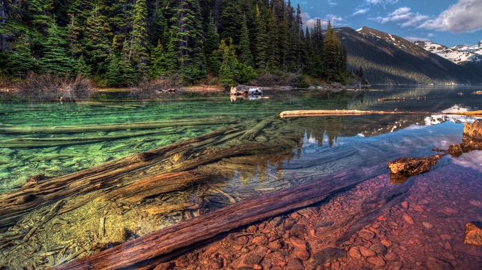 trees, mountain, nature, lake