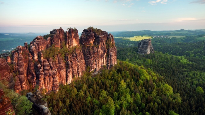 nature, landscape, forest