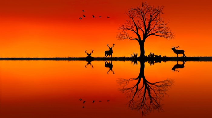 animals, trees, sunset, landscape, photo manipulation, reflection, nature, deer, birds, horizon, silhouette, orange