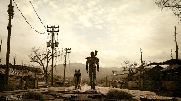 video games, fallout 3