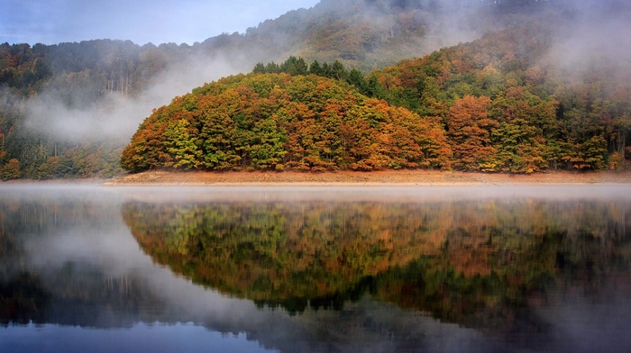 trees, water, mist, reflection, Luxemburg, hill, clouds, nature, landscape, forest, fall