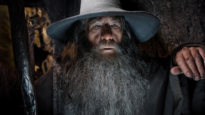 actor, wizard, movies, men, the hobbit, the hobbit the desolation of smaug, gandalf, Ian McKellen