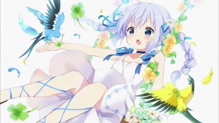 Kafuu Chino 「Gochuumon wa Usagi Desu ka?」