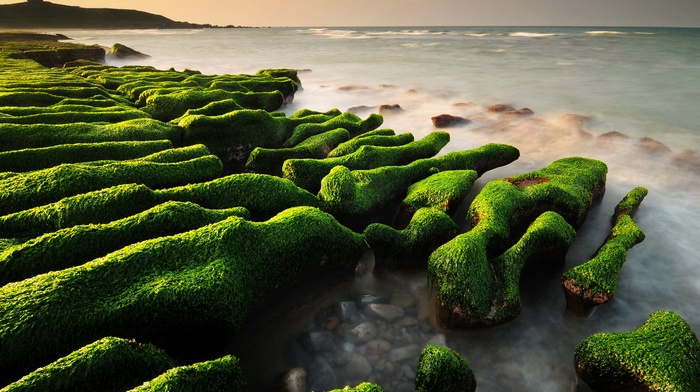 landscape, sea, rock, nature, moss