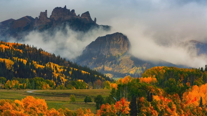 fall, trees, clouds, forest, field, landscape, mountain, USA, Colorado, nature, mist