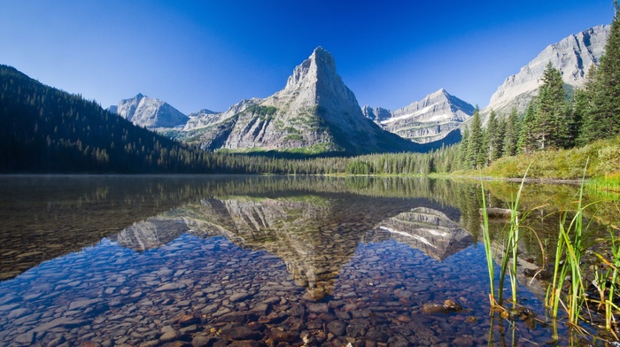 lake, forest, stones, reflection, grass, snow, nature, Glacier National Park, USA, trees, Montana, landscape, mountain