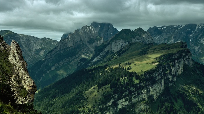 landscape, trees, mountain