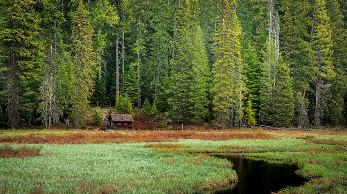 cabin, Oregon
