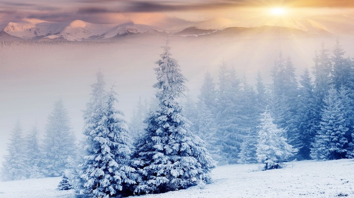 nature, landscape, winter, snow, forest, mountain